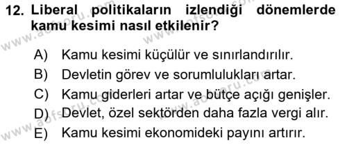 Kamu Maliyesi Dersi 2024 - 2025 Yılı (Vize) Ara Sınavı 12. Soru