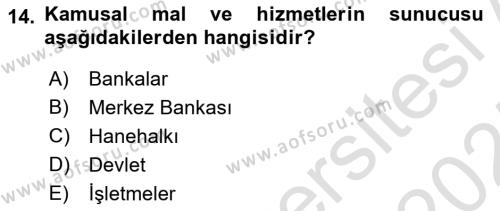 Kamu Maliyesi Dersi 2024 - 2025 Yılı (Vize) Ara Sınavı 14. Soru