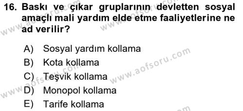 Kamu Maliyesi Dersi 2024 - 2025 Yılı (Vize) Ara Sınavı 16. Soru