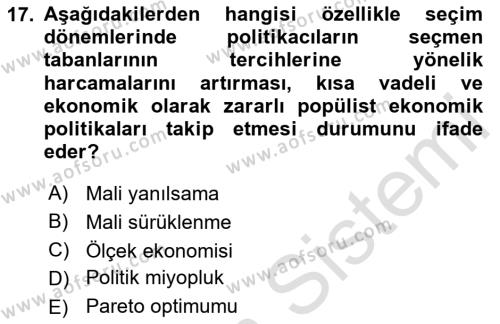 Kamu Maliyesi Dersi 2024 - 2025 Yılı (Vize) Ara Sınavı 17. Soru