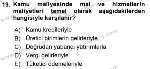 Kamu Maliyesi Dersi 2024 - 2025 Yılı (Vize) Ara Sınavı 19. Soru