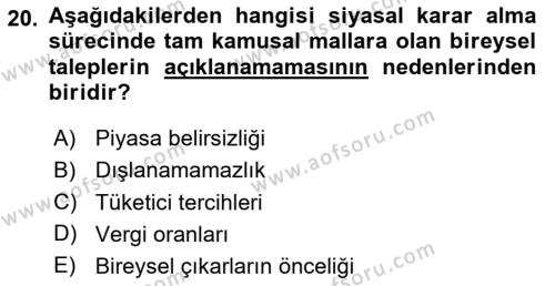 Kamu Maliyesi Dersi 2024 - 2025 Yılı (Vize) Ara Sınavı 20. Soru