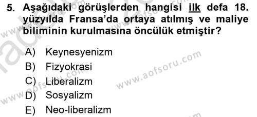 Kamu Maliyesi Dersi 2024 - 2025 Yılı (Vize) Ara Sınavı 5. Soru