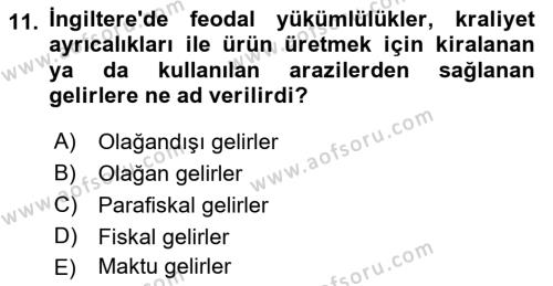 Devlet Bütçesi Dersi 2023 - 2024 Yılı (Vize) Ara Sınavı 11. Soru