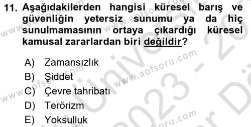 Uluslararası Kamu Maliyesi Dersi 2023 - 2024 Yılı (Vize) Ara Sınavı 11. Soru