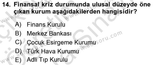 Uluslararası Kamu Maliyesi Dersi 2023 - 2024 Yılı (Vize) Ara Sınavı 14. Soru