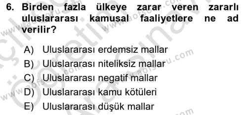 Uluslararası Kamu Maliyesi Dersi 2023 - 2024 Yılı (Vize) Ara Sınavı 6. Soru