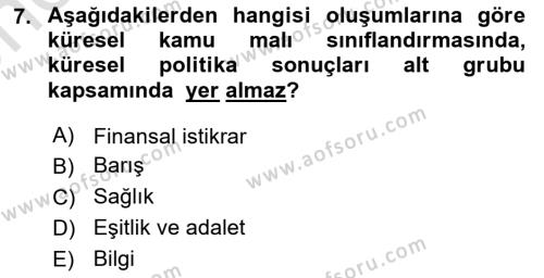 Uluslararası Kamu Maliyesi Dersi 2023 - 2024 Yılı (Vize) Ara Sınavı 7. Soru