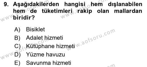 Uluslararası Kamu Maliyesi Dersi 2023 - 2024 Yılı (Vize) Ara Sınavı 9. Soru