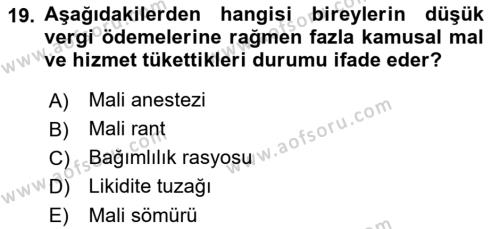 Maliye Politikası Dersi 2021 - 2022 Yılı Yaz Okulu Sınavı 19. Soru