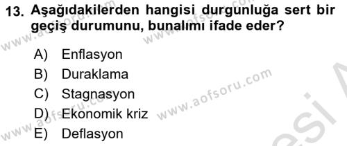 Maliye Politikası Dersi 2023 - 2024 Yılı Yaz Okulu Sınavı 13. Soru