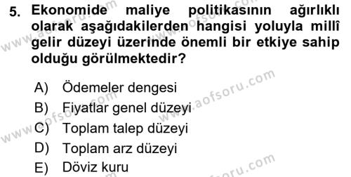 Maliye Politikası Dersi 2023 - 2024 Yılı Yaz Okulu Sınavı 5. Soru