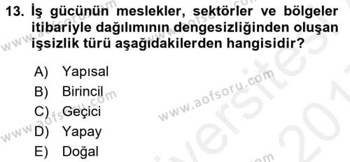 Maliye Politikası 1 Dersi 2016 - 2017 Yılı (Final) Dönem Sonu Sınavı 13. Soru