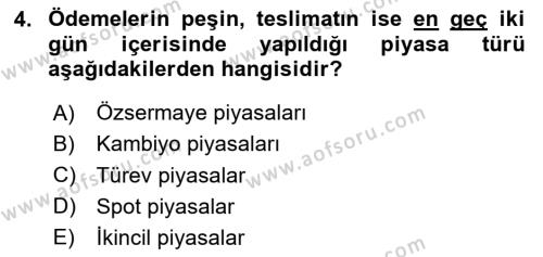 Menkul Kıymet Yatırımları Dersi 2024 - 2025 Yılı (Vize) Ara Sınavı 4. Soru