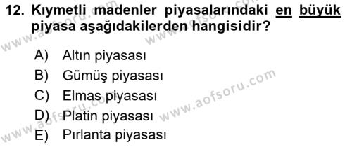 Borsaların Yapısı ve İşleyişi Dersi 2018 - 2019 Yılı Yaz Okulu Sınavı 12. Soru