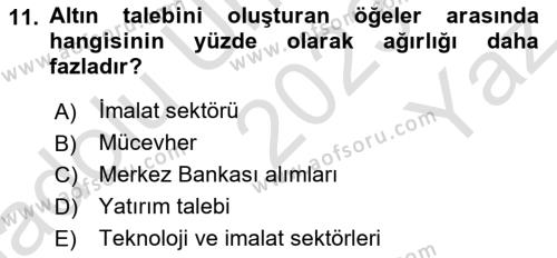 Borsaların Yapısı ve İşleyişi Dersi 2023 - 2024 Yılı Yaz Okulu Sınavı 11. Soru