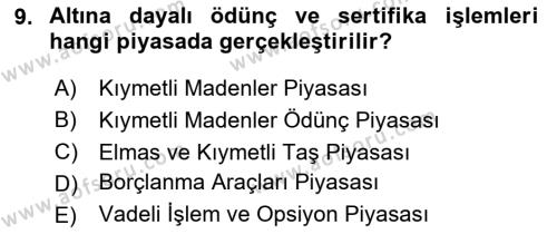 Borsaların Yapısı ve İşleyişi Dersi 2023 - 2024 Yılı Yaz Okulu Sınavı 9. Soru