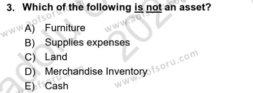Accounting 1 Dersi 2024 - 2025 Yılı (Vize) Ara Sınavı 3. Soru
