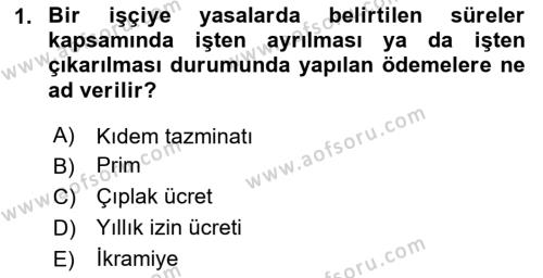 Maliyet Ve Yönetim Muhasebesi Dersi 2024 - 2025 Yılı (Vize) Ara Sınavı 1. Soru