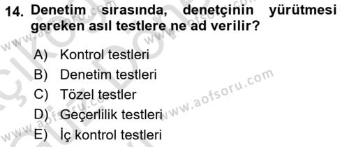 Muhasebe Denetimi Dersi 2022 - 2023 Yılı (Vize) Ara Sınavı 14. Soru