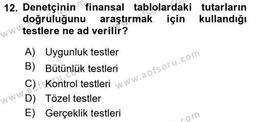 Muhasebe Denetimi Dersi 2024 - 2025 Yılı (Vize) Ara Sınavı 12. Soru