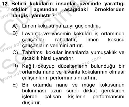 Mağaza Atmosferi Dersi 2021 - 2022 Yılı (Final) Dönem Sonu Sınavı 12. Soru