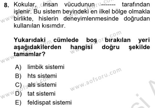 Mağaza Atmosferi Dersi 2022 - 2023 Yılı (Final) Dönem Sonu Sınavı 8. Soru