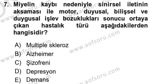 Psikoloji Dersi 2022 - 2023 Yılı Yaz Okulu Sınavı 7. Soru