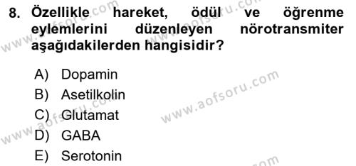 Psikoloji Dersi 2022 - 2023 Yılı Yaz Okulu Sınavı 8. Soru