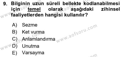 Psikoloji Dersi 2022 - 2023 Yılı Yaz Okulu Sınavı 9. Soru