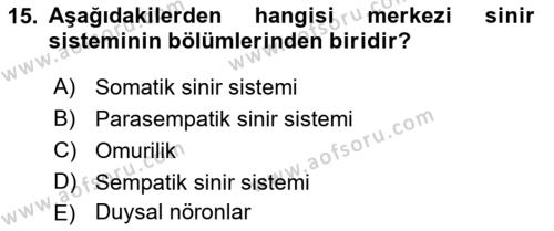 Psikoloji Dersi 2023 - 2024 Yılı (Vize) Ara Sınavı 15. Soru