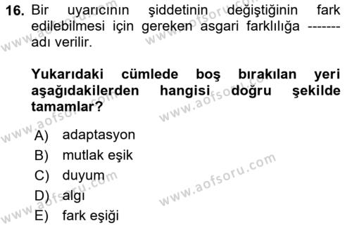 Psikoloji Dersi 2023 - 2024 Yılı (Vize) Ara Sınavı 16. Soru