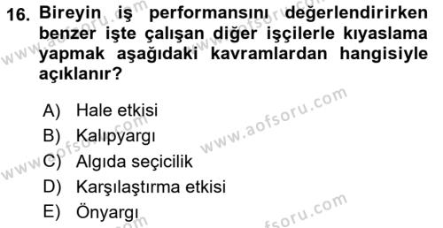 Psikoloji Dersi 2023 - 2024 Yılı Yaz Okulu Sınavı 16. Soru