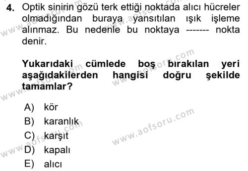 Psikoloji Dersi 2023 - 2024 Yılı Yaz Okulu Sınavı 4. Soru