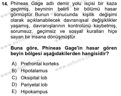 Psikoloji Dersi 2024 - 2025 Yılı (Vize) Ara Sınavı 14. Soru