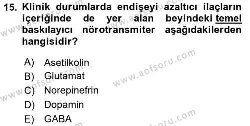 Psikoloji Dersi 2024 - 2025 Yılı (Vize) Ara Sınavı 15. Soru