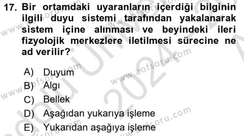 Psikoloji Dersi 2024 - 2025 Yılı (Vize) Ara Sınavı 17. Soru