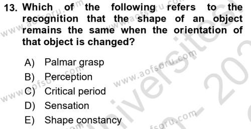 Psychology Dersi 2020 - 2021 Yılı Yaz Okulu Sınavı 13. Soru