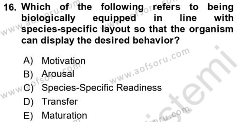 Psychology Dersi 2020 - 2021 Yılı Yaz Okulu Sınavı 16. Soru