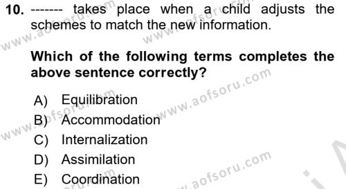 Psychology Dersi 2021 - 2022 Yılı (Final) Dönem Sonu Sınavı 10. Soru