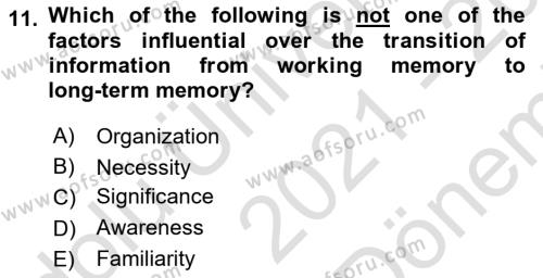 Psychology Dersi 2021 - 2022 Yılı (Final) Dönem Sonu Sınavı 11. Soru