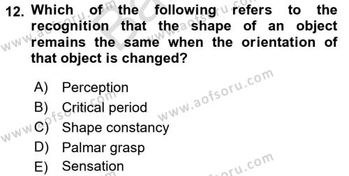 Psychology Dersi 2021 - 2022 Yılı (Final) Dönem Sonu Sınavı 12. Soru
