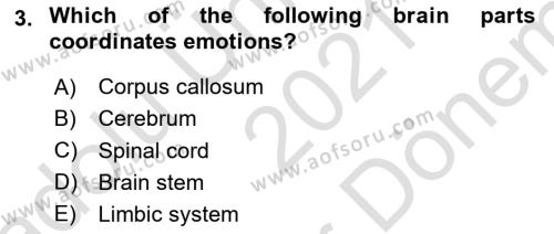 Psychology Dersi 2021 - 2022 Yılı (Final) Dönem Sonu Sınavı 3. Soru