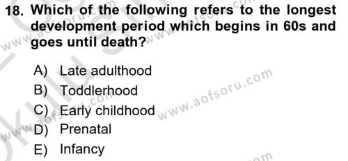 Psychology Dersi 2021 - 2022 Yılı Yaz Okulu Sınavı 18. Soru