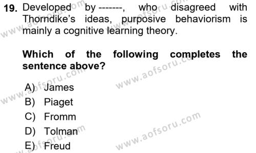 Psychology Dersi 2021 - 2022 Yılı Yaz Okulu Sınavı 19. Soru