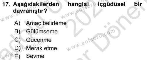 Eğitim Psikolojisi Dersi 2021 - 2022 Yılı (Final) Dönem Sonu Sınavı 17. Soru