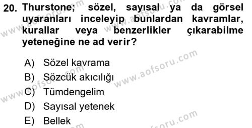 Eğitim Psikolojisi Dersi 2023 - 2024 Yılı (Vize) Ara Sınavı 20. Soru