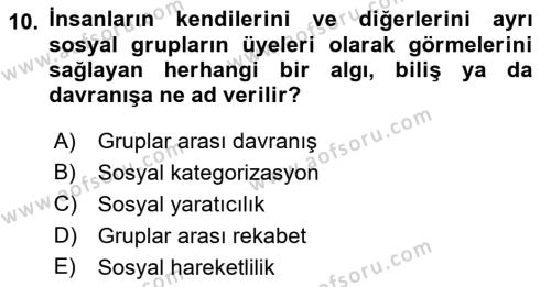 Sosyal Psikoloji 2 Dersi 2021 - 2022 Yılı Yaz Okulu Sınavı 10. Soru