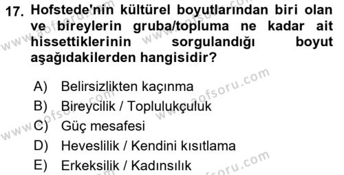 Sosyal Psikoloji 2 Dersi 2021 - 2022 Yılı Yaz Okulu Sınavı 17. Soru