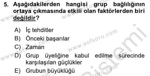 Sosyal Psikoloji 2 Dersi 2021 - 2022 Yılı Yaz Okulu Sınavı 5. Soru